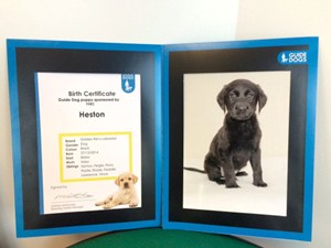 An image of the birth certificate and picture of YHEC's sponsored puppy, Heston